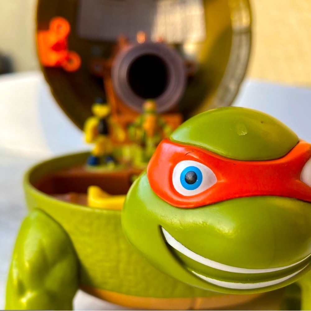 Ninja Turtle